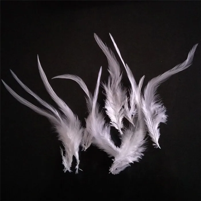 white rooster feathers (6)