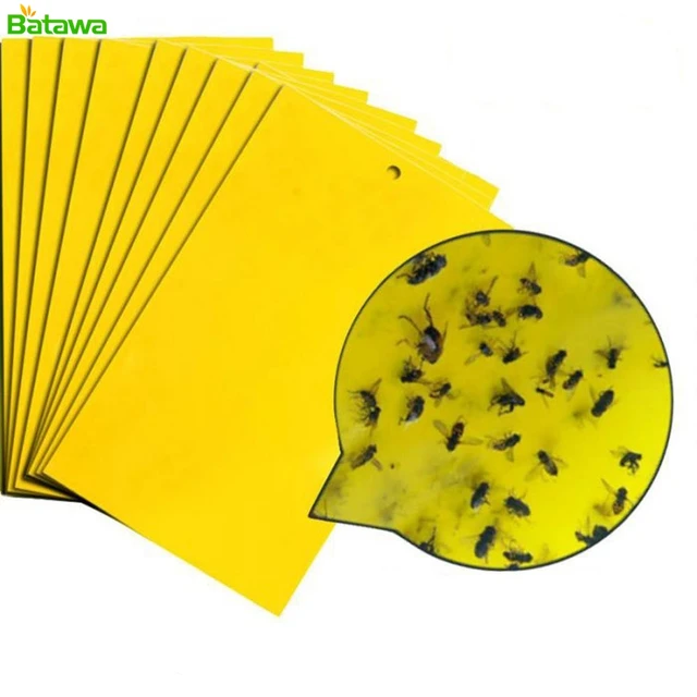 20 Pack Dual sided Yellow Sticky Traps for Fungus Gnat, Whitefly, Aphid