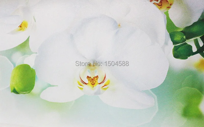 3D на заказ Фреска фото обои белая Орхидея Бабочка цветы обои фрески Гостиная ТВ диван фон Papel де Parede