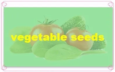 vegetable
