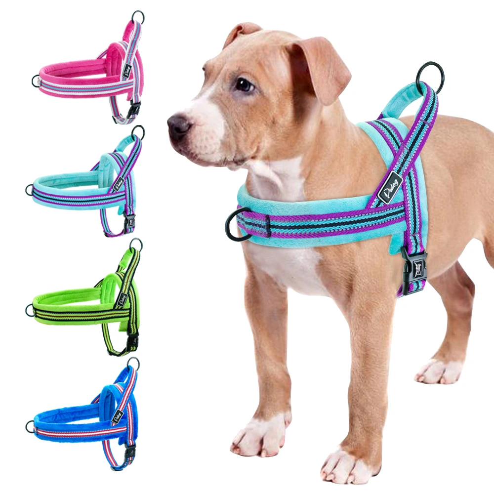 dog harnesses for pitbulls