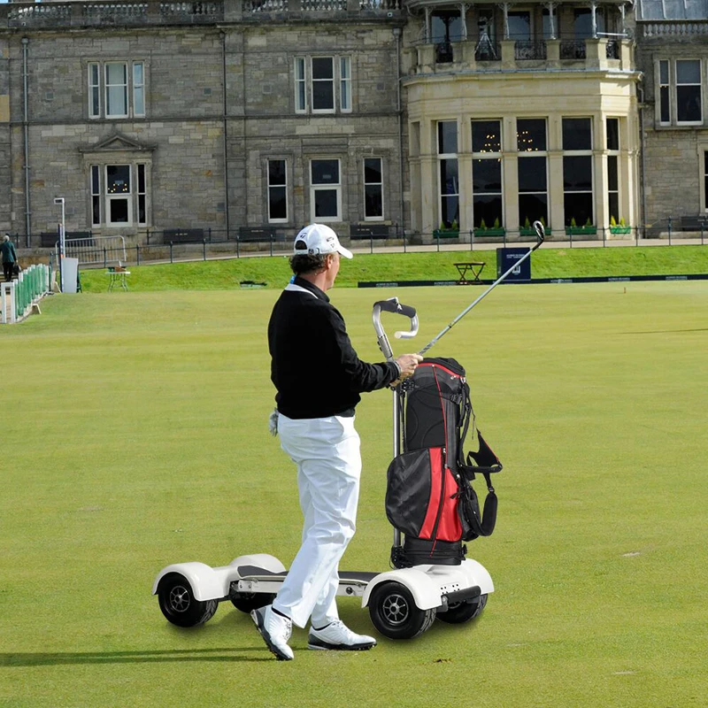 Perfect 2018 Newest Electric Golf Scooter Skateboard with 1000W 60V 18.2AH 10.5inch inflatable 4 Wheel electric scooters mini golf cart 5