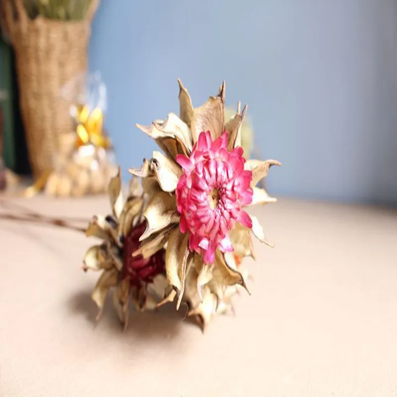 Восточные Маки Натуральные сушеные цветы декоративные цветы искусство