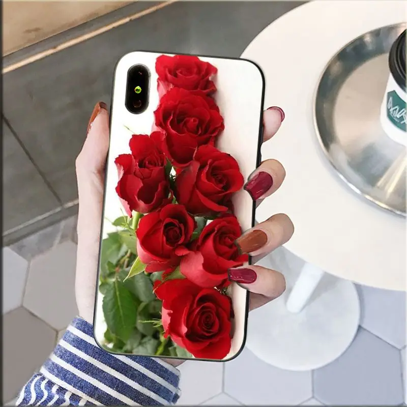 Red Pink Rose