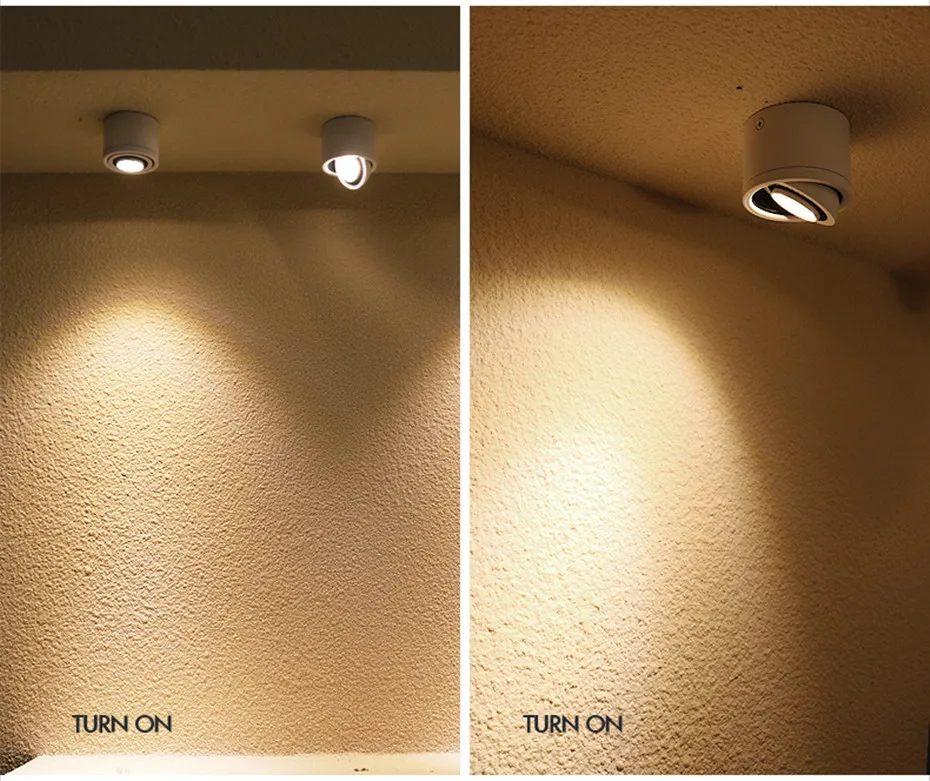 LED Downlights  (31)
