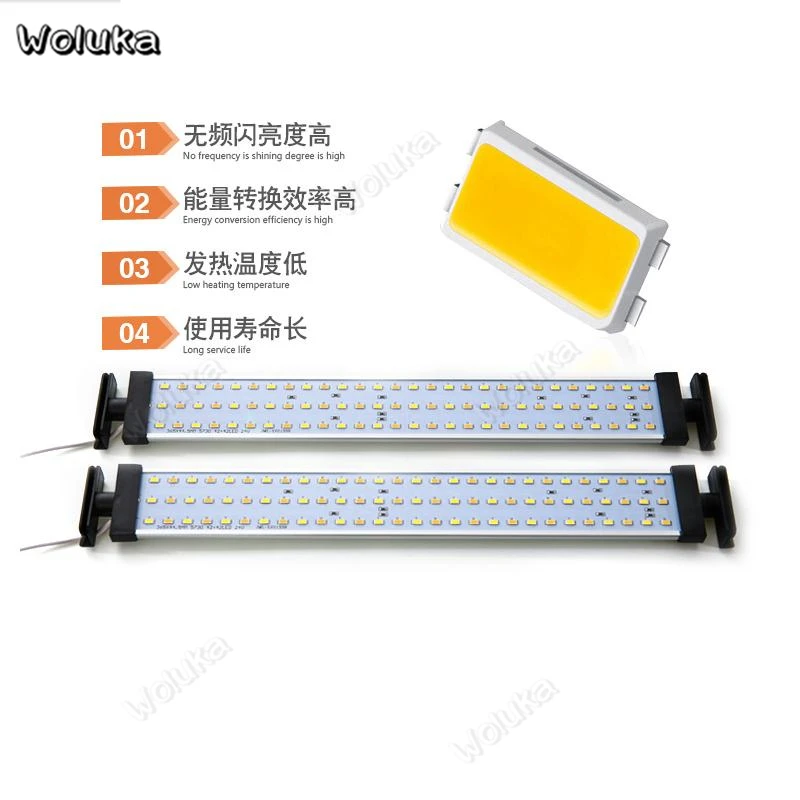 36020190222131752684