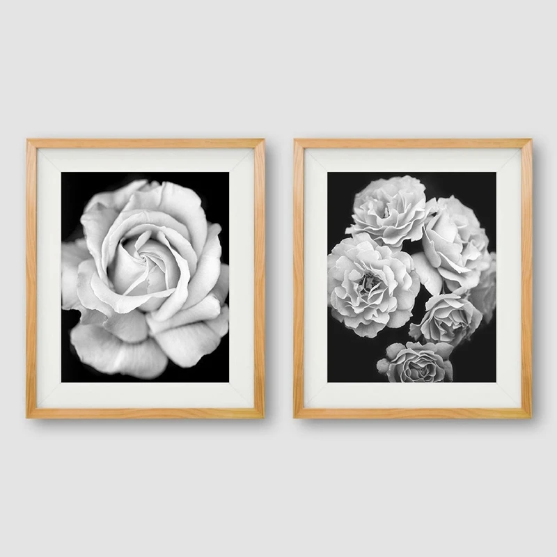 Roses Photography Canvas Print Living Room Decor