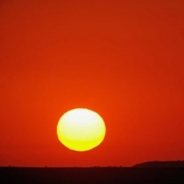 Sunset  Masai Mara Game Reserve  Kenya Poster Print by Adam Jones (24 x 15)