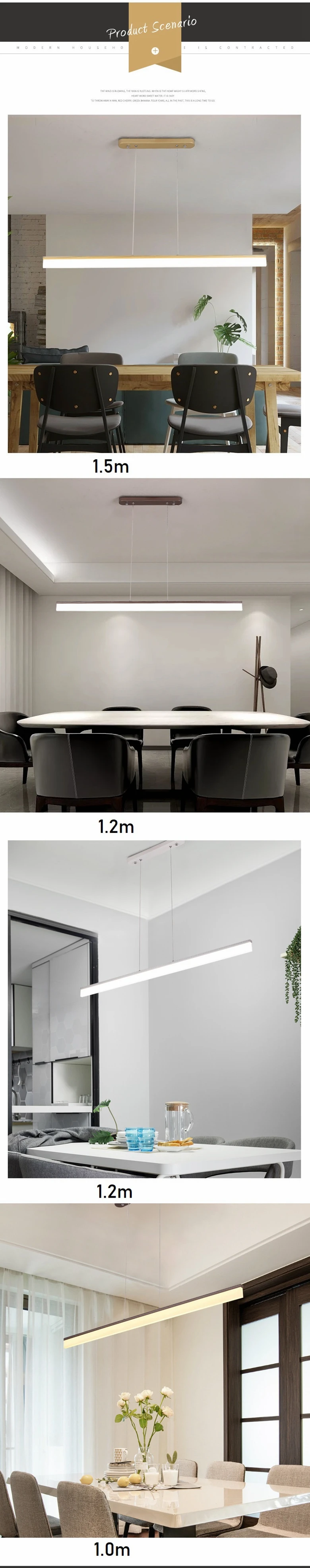 9099812552_962549890_