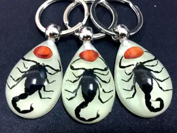 

free shipping 50 PCS Luminous Real Black Color Scorpion Keychain New Real Insect Fashion Key Chain