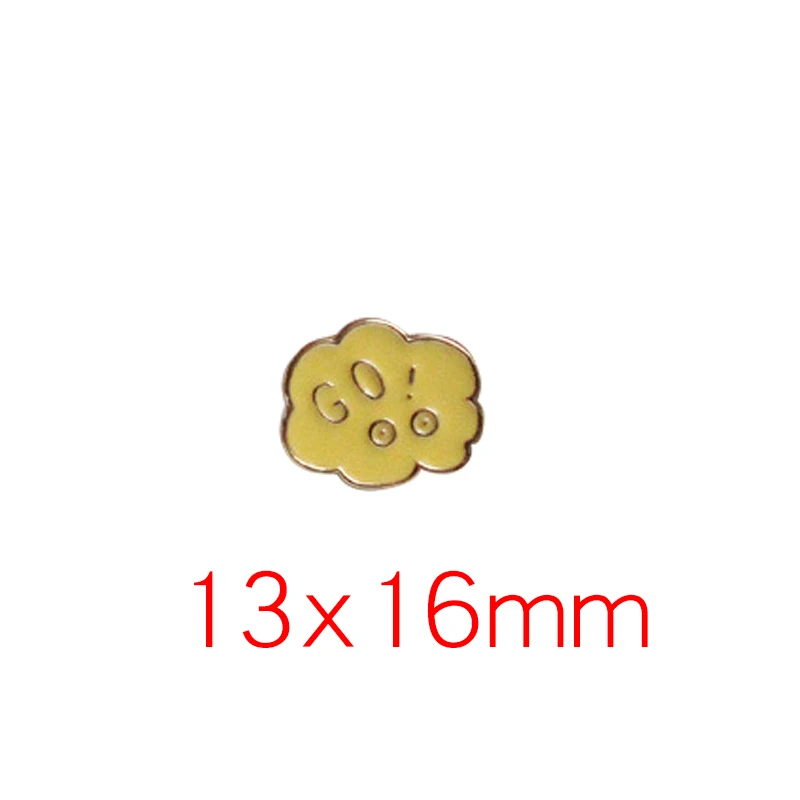 101070011