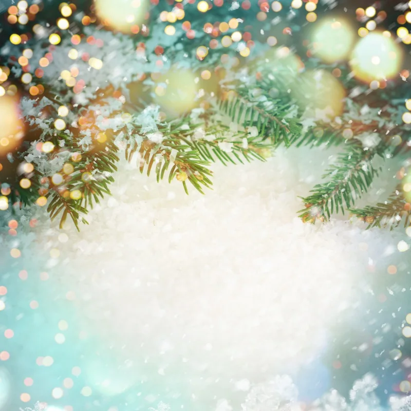 

Laeacco Photography Backdrops Snowflake Christmas Pine Glitter Polka Dot Bokeh Child Baby Backgrounds Photocall For Photo Studio