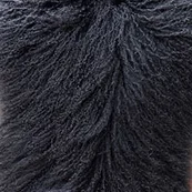 CX-G-B-09B модные настоящие Тибетский ягненок женские меховые жилеты~ Прямая - Цвет: Черный