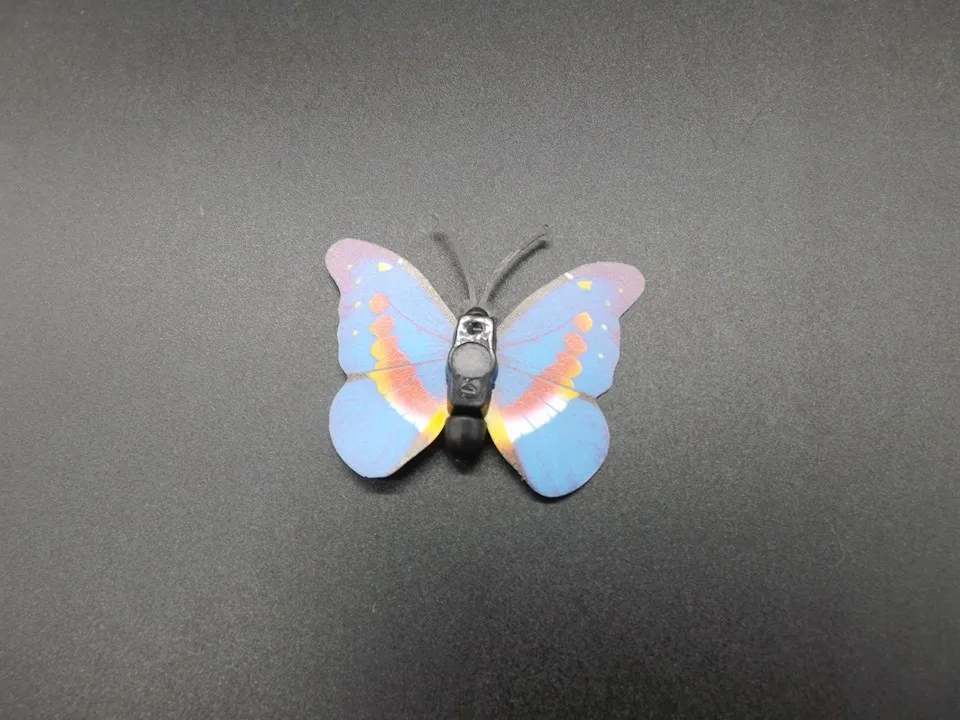 I266-Butterfly (9)