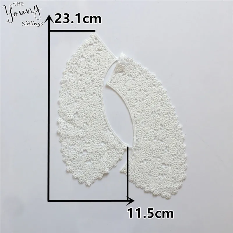 YL1713 (2)
