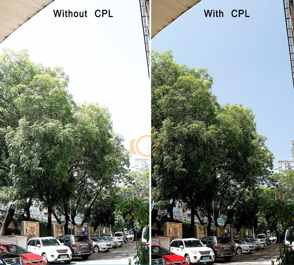 CPL1 _