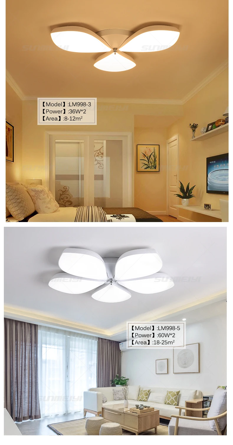 Ceiling Lights03