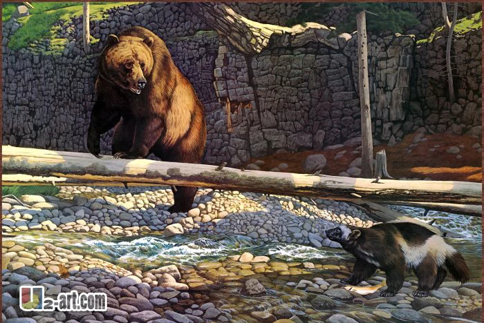 

Natural animal oil painting oil painting canvas bear decorative things for house photo printed on canvas