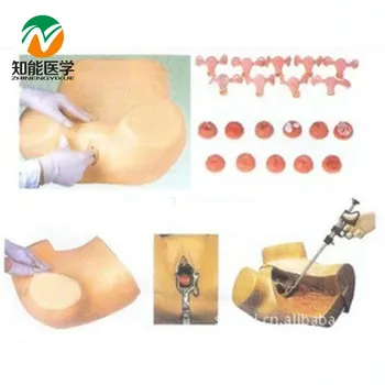 

BIX-FS Fully Functional Medical Check Simulator Gynecological Examination Model MQ203