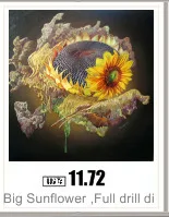 AeProduct.getSubject ()