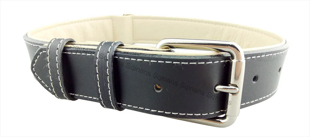 Black dog collar