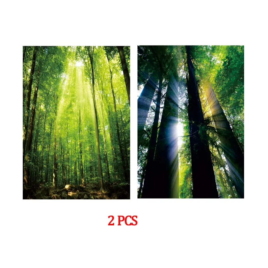 Green Forest Printing Natural Landscape Poster Wall Picture For Living Room Canvas Painting Wall Art Murals Home Decor Bedroom (7)