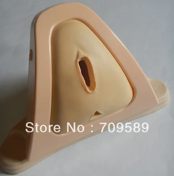 

ISO Advanced Perineum Cutting and Suturing Training Simulator, Episiotomy Trainer