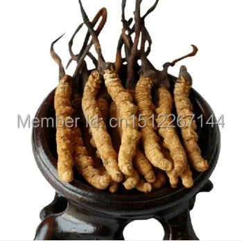 1KG free shipping Cordyceps sinensis extract powder 40% caterpillar fungus/high potency/cordyceps extract