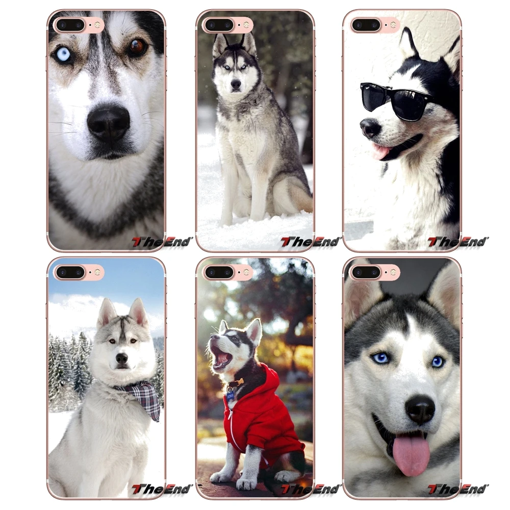 Аксессуары чехлы для телефонов Samsung Galaxy S2 S3 S4 S5 MINI S6 S7 edge S8 S9 Plus Note 2 3 4 5 8 Coque Fundas Husky Dog