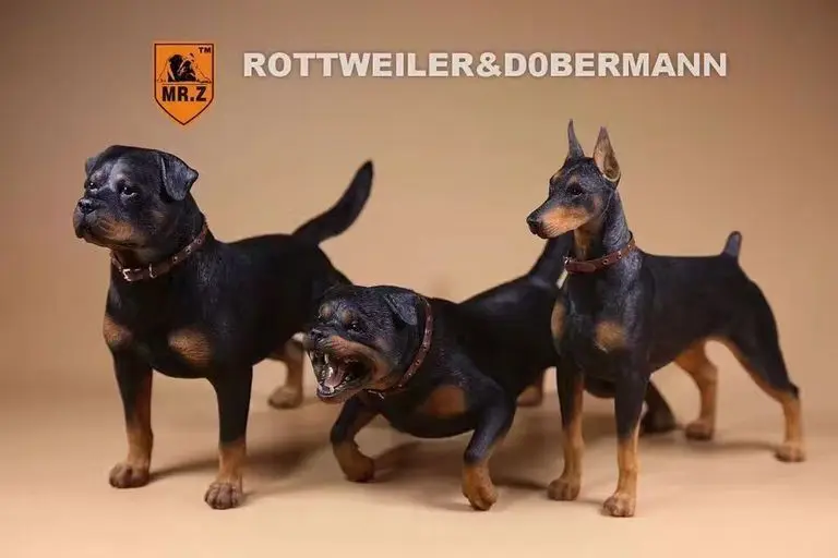 rottweiler accessories 1 6 realistic german rottweiler model model accessories decoration rottweiler accessories 1 6 realistic german rottweiler model model accessories decoration