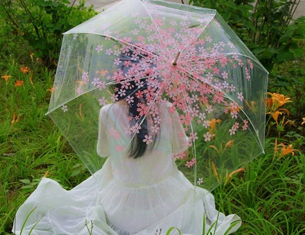 Paraguas transparente para caminar, sombrilla con diseño de seta, flor de cerezo, Apolo y princesa Sakura, mango|umbrella cherry blossom|umbrella cherryumbrella clear - AliExpress