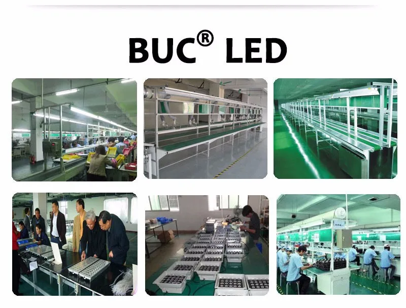 YUMIDENG_14_02