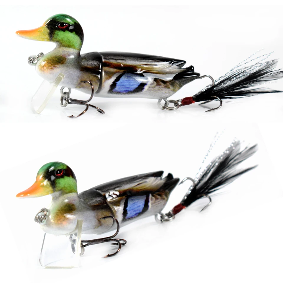 duck03a-1