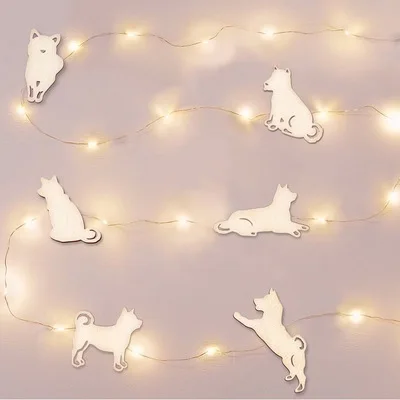 6只柴犬