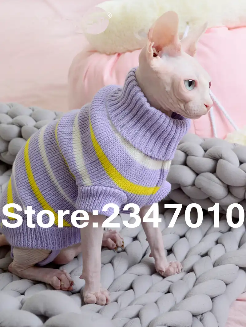 Pull Sphynx Animaux Vetements Pour Chats Sans Poils Sweats A Capuche Pour Animaux De Compagnie Chat Vetements Pour Petits Chiens Aliexpress