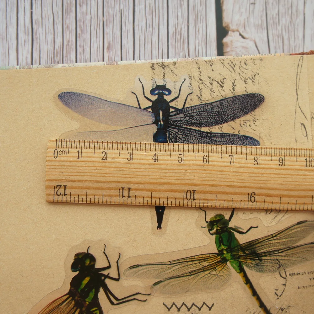 28pcs Insect Theme Dragonflies In Summer Style PVC Sticker Scrapbooking DIY Gift Packing Label Decoration Tag cartoon stickers decorative stickers self adhesive stickers custom stickers stationery stickers anime stickers paper stickers adhesive stickers decorative labels stickers animal stickers