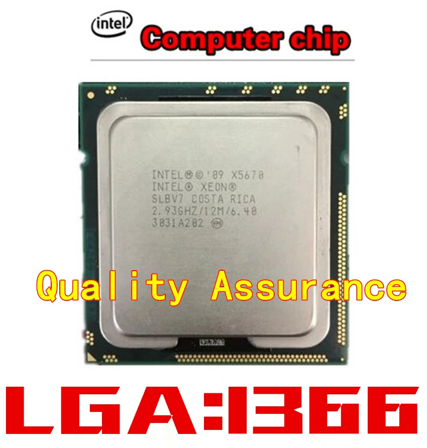 Intel Xeon X5670 Processor 2.93GHz LGA 1366 12MB L3 Cache Six Core Server CPU X5670 Intel Xeon X5670 Processor 2.93GHz LGA 1366 12MB L3 Cache Six Core Server CPU X5670