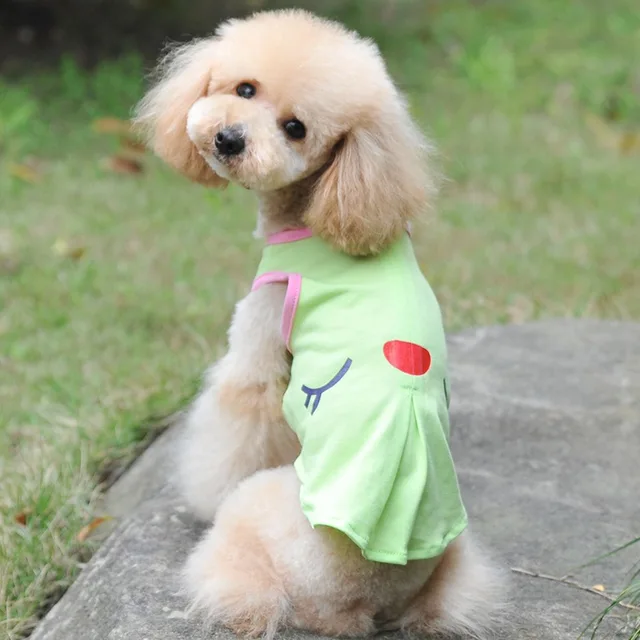 Upgrade your pets wardrobe with the Cute Spring/Summer Pink Green Dog Vests Fashion Sleeping Face Shirt