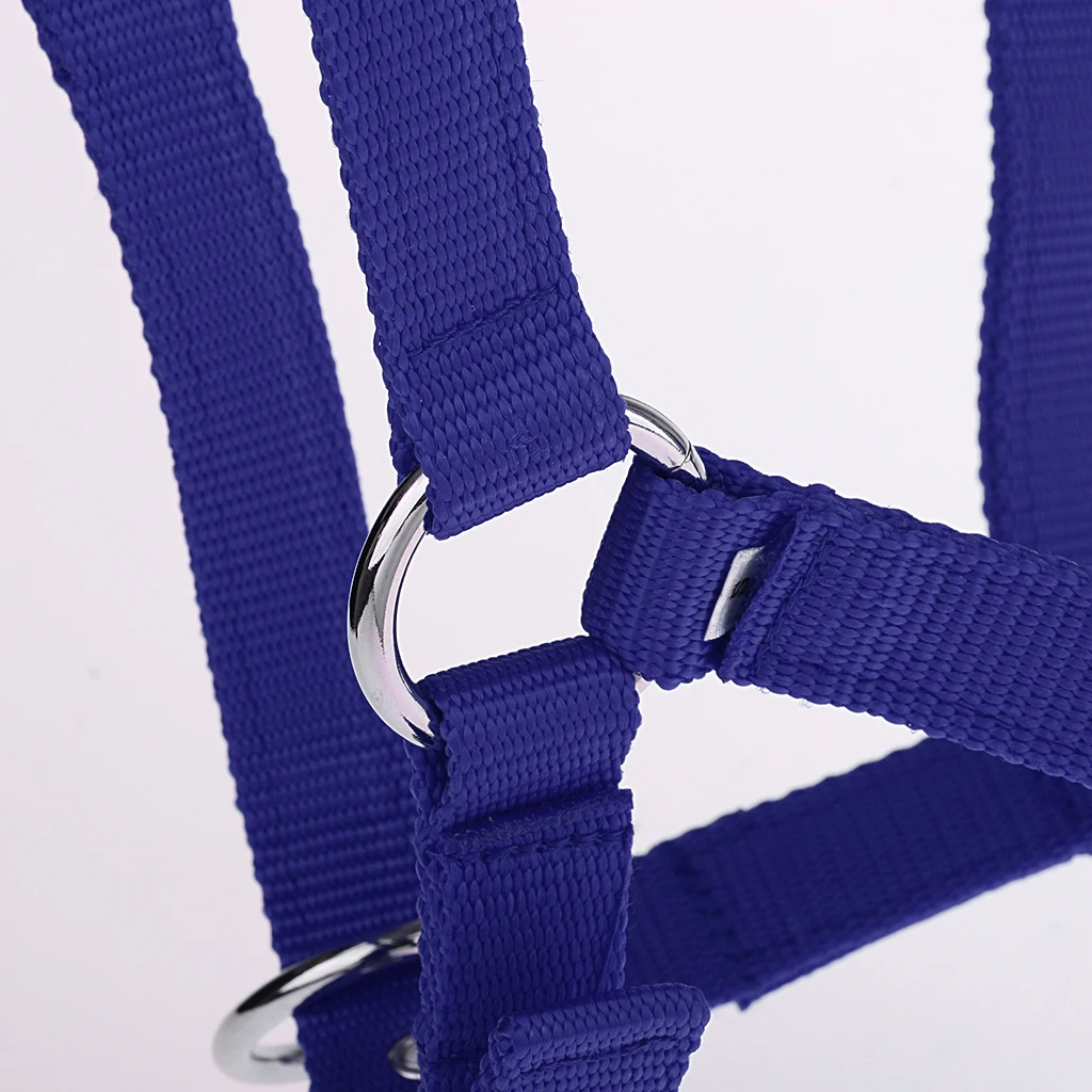 Adjustable Webbing Equestrian Horse Halter Horse Riding Wear Adjustable Horse Halter Outdoor Racing Woven Belts Bridle