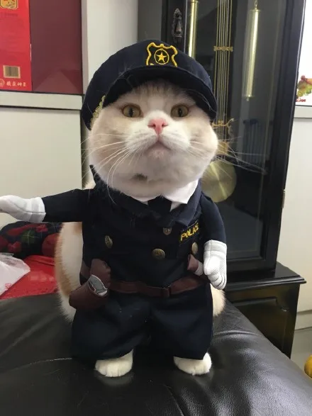 New-2016-whimsy-Free-shipping-so-funny-Pet-cat-dog-Dress-uniform-suit-clothes-hat-become