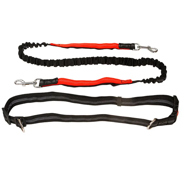 Hands Free Pet Dog Running Leash High Elastic Nylon Band Jogging Walking Exercise Retractable Leash Strip Pet Accessories