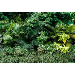 Laeacco тропический фон дождь лес зеленый кустарник обои Детский портрет естественная сцена фото фон фотосессия Фотостудия