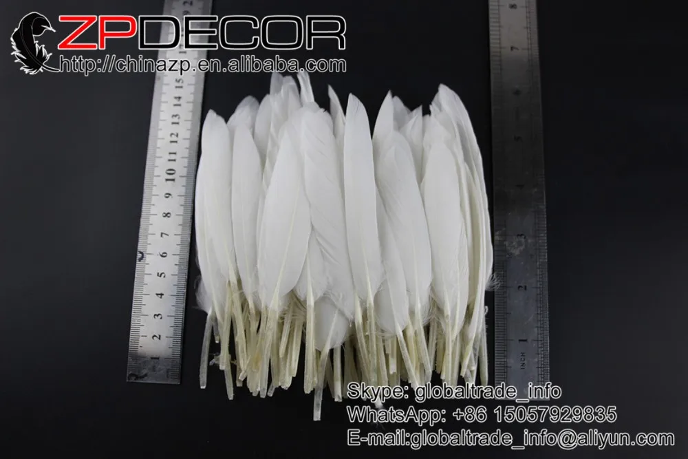 white duck feather (3)