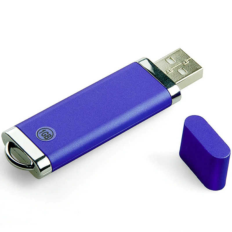 

Bernal high speed Usb Flash Drive Disk