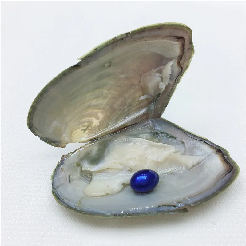 Натуральный жемчуг Пресноводный Культивированный Жемчуг Oyster с 7 мм овальным 12