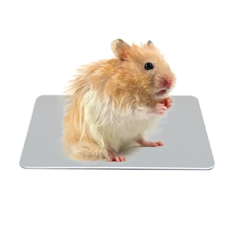

Small Pet Hamster ice Pad Summer Heat Sink Board Steel Plate House Heat Dissipation Plate Rabbit Totoro Gerbil Cage Decor 2018