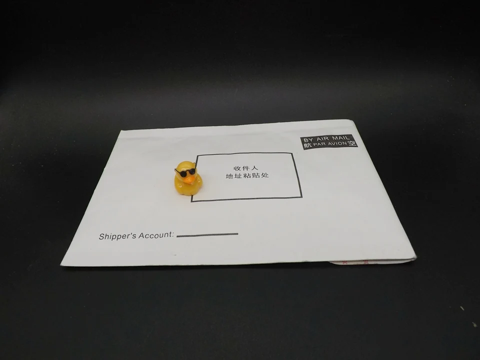 Tiny-A087Duck (17)