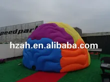 Giant Inflatable Brain Tent for Outdoor Decoration