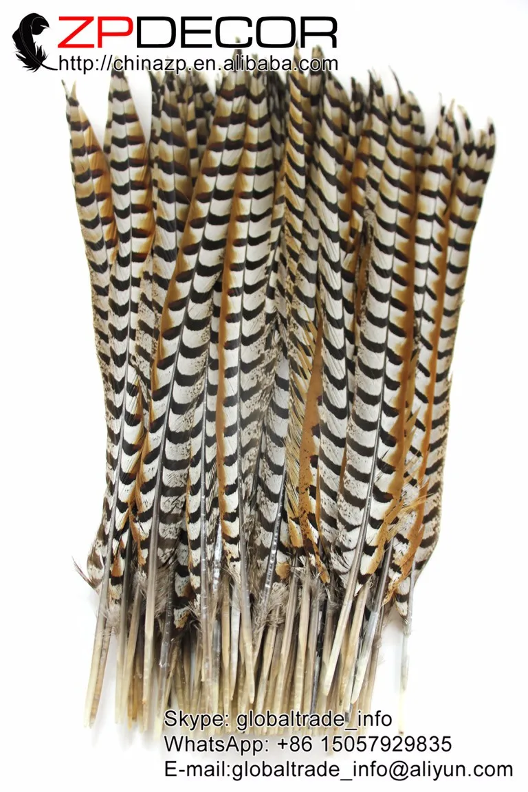 60-70cm NATURAL Reeves Venery Pheasant Tail Feathers (3)