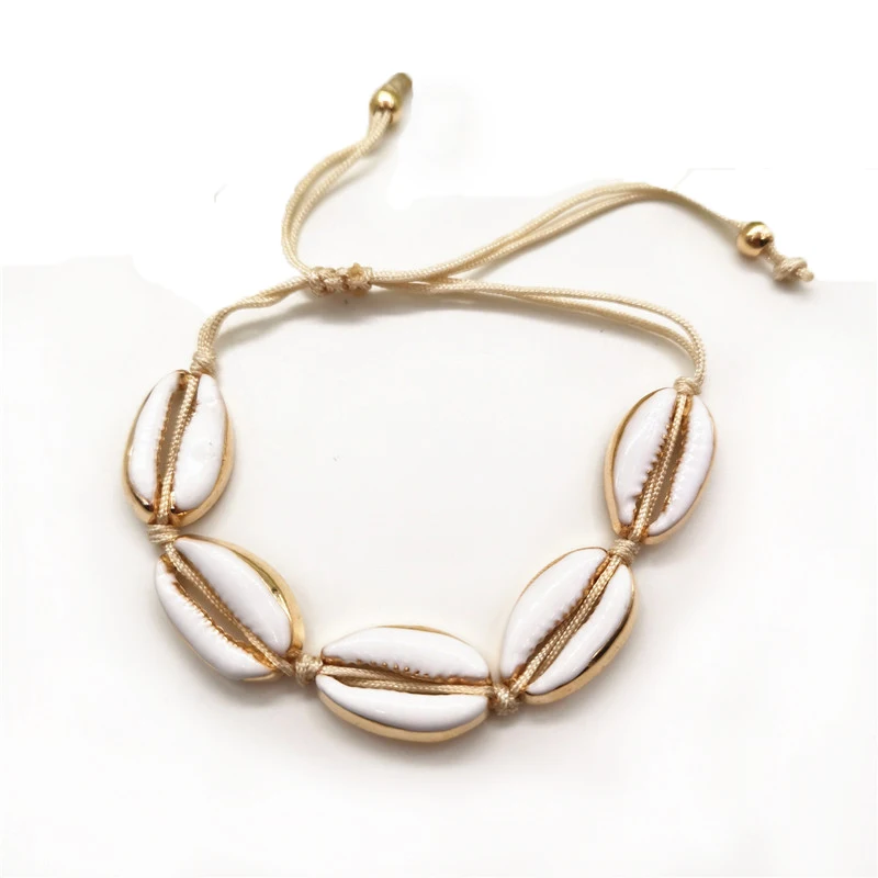 ZY0013-1